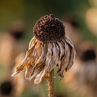 Identification des risques naturels du patrimoine